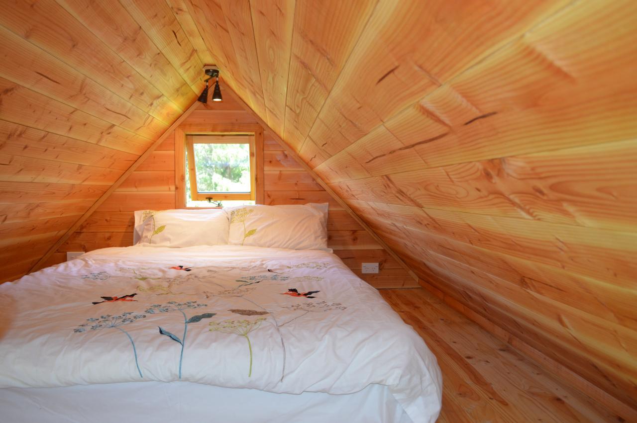 Sunrise Cabin At First Light Rangihaeata Retreat Takaka Εξωτερικό φωτογραφία